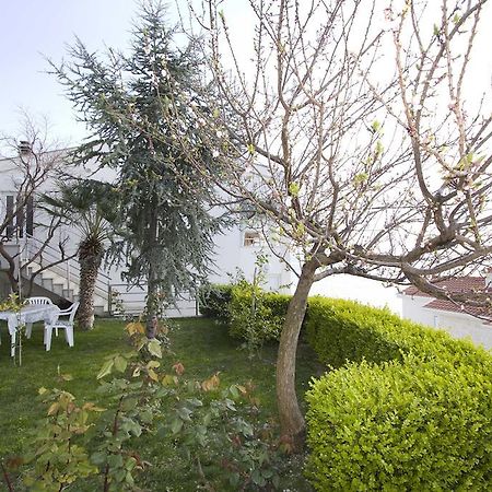 Apartment Pcelica Maja Podstrana Bilik gambar